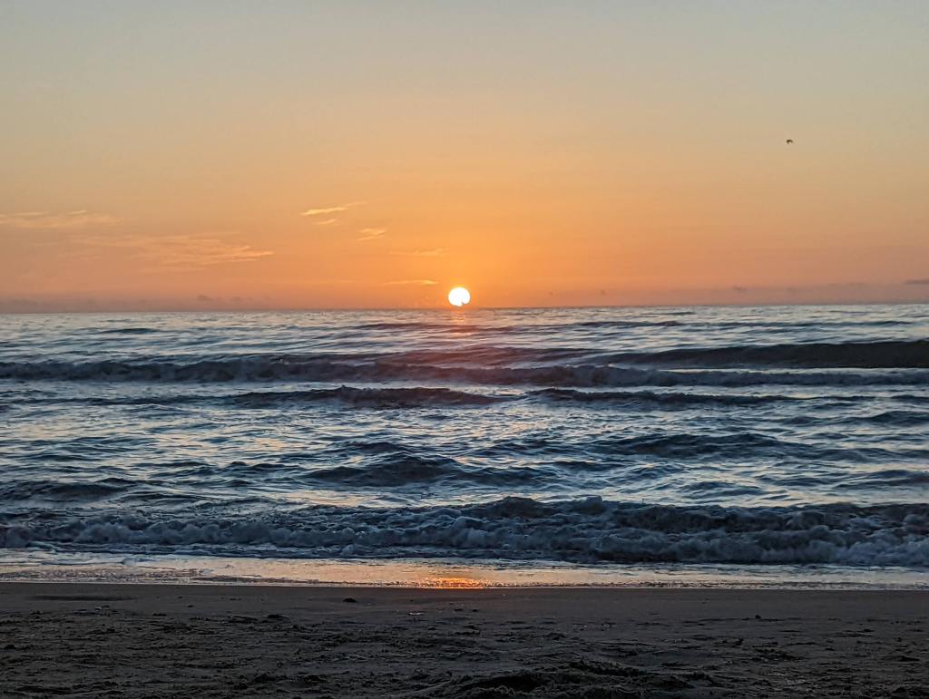 The Insanity of your&nbsp;Life