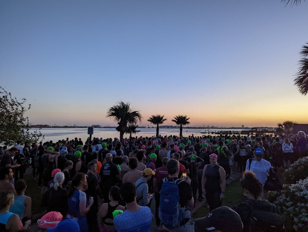 The Marvels of&nbsp;Life