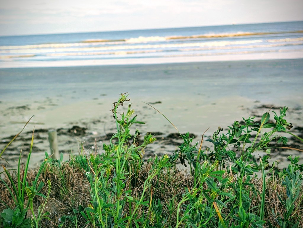 The Defense Case for&nbsp;Boredom